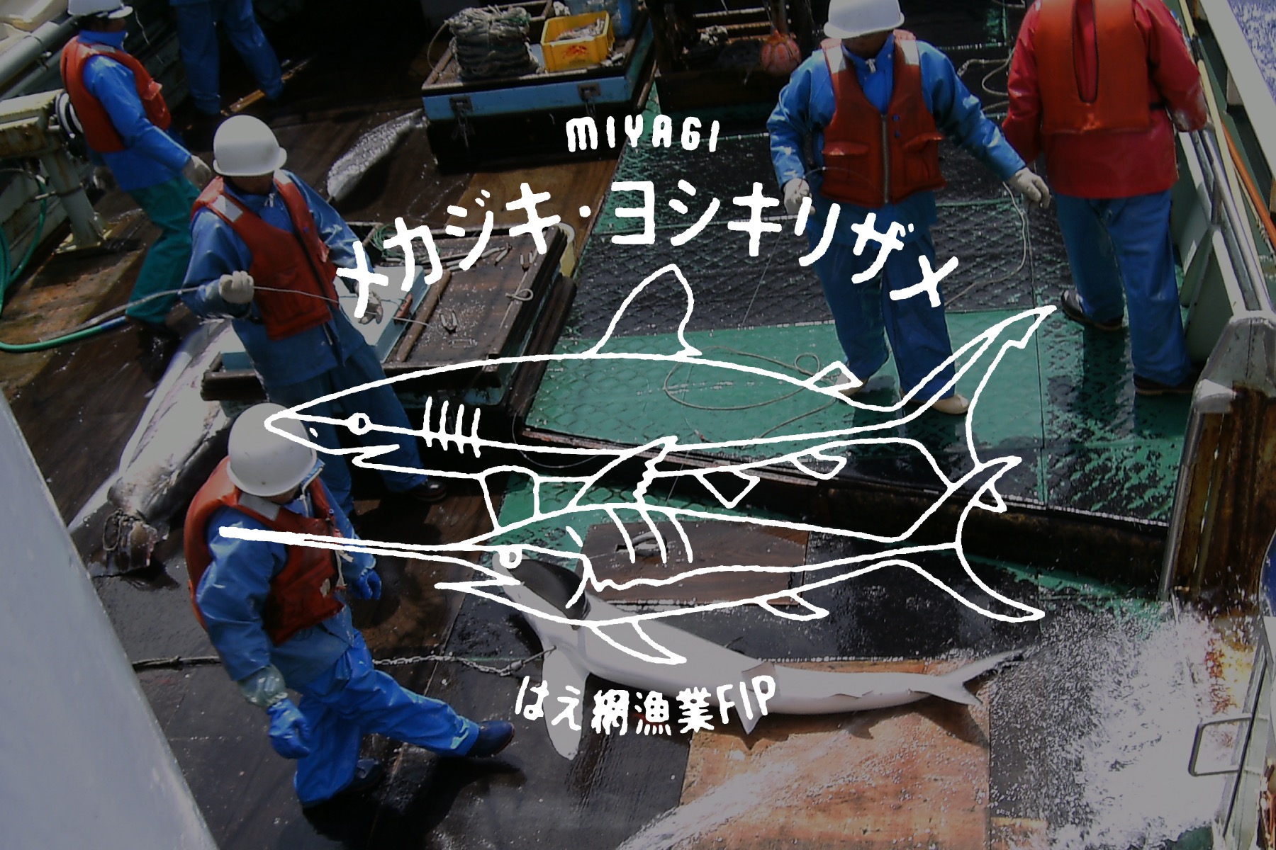 MIYAGI KESENNUMA BLUE SHARK & SWORDFISH FISHERY IMPROVEMENT PROJECT (FIP)