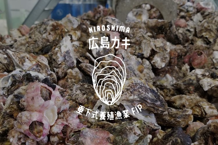 HIROSHIMA ROPE GROWN OYSTER<br>FISHERY IMPROVEMNT PROJECT (FIP)