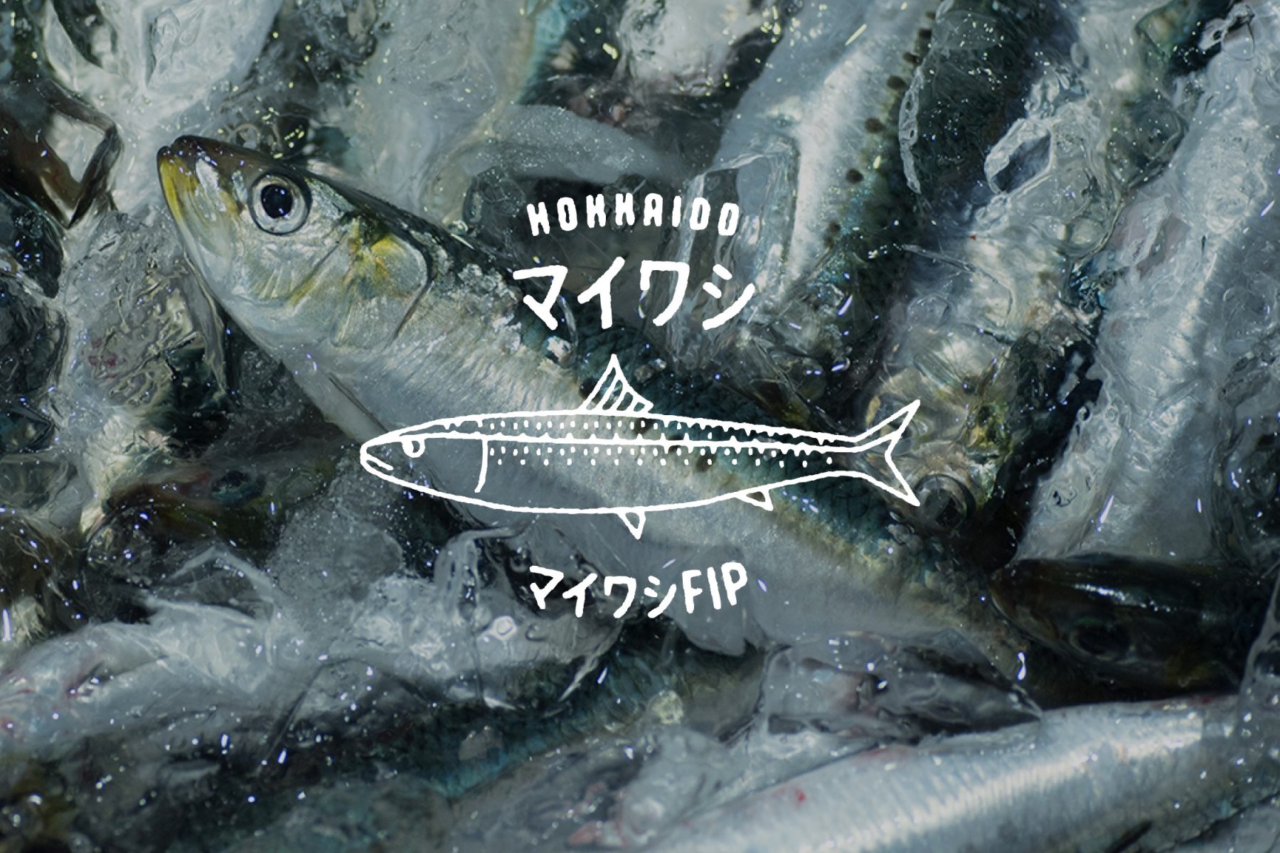 HOKKAIDO JAPANESE SARDINE FISHERY IMPROVEMENT PROJECT (FIP)